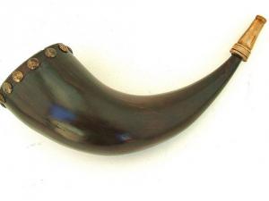 buffalo horn