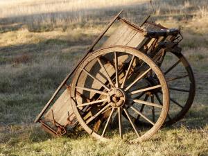 cart