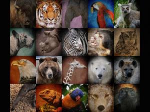 endangered species