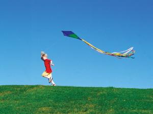 fly a kite