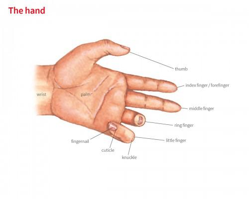 hand