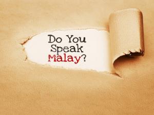 Malay