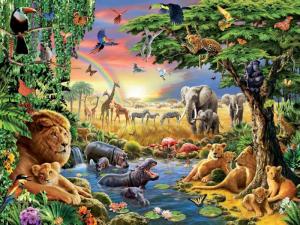 plants and animals