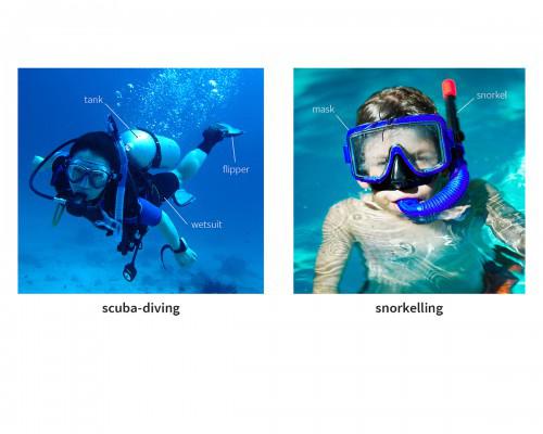 snorkel