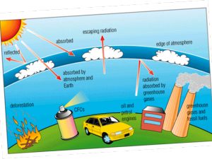 the ozone layer