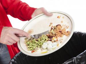 waste food